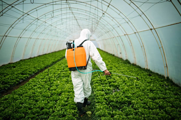 Best Best Pest Control Companies  in Ranson, WV
